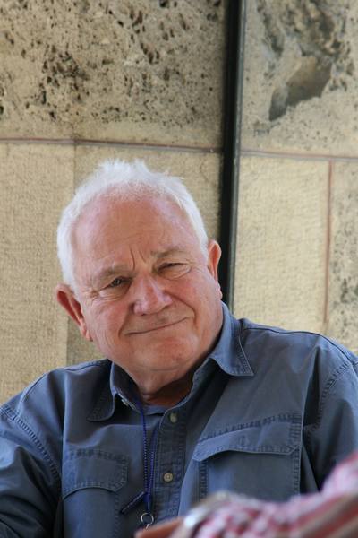 Le consultant David Seidler au milieu d'une session