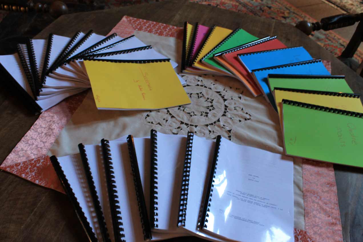 Plume & Pellicule 2015 commence