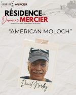 Résidence Villa Mercier Sierre